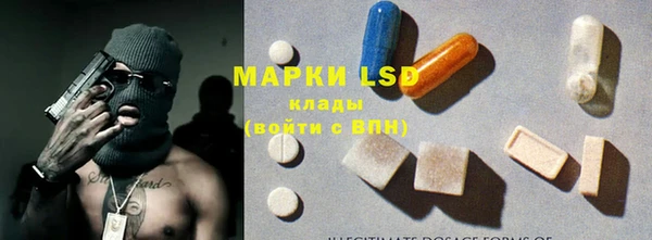 винт Лагань