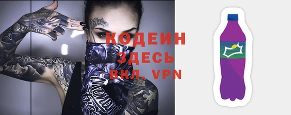 винт Лагань