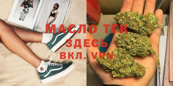 винт Лагань