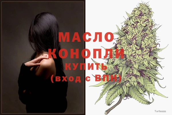 винт Лагань