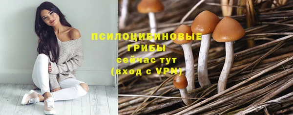 бутират Лабытнанги