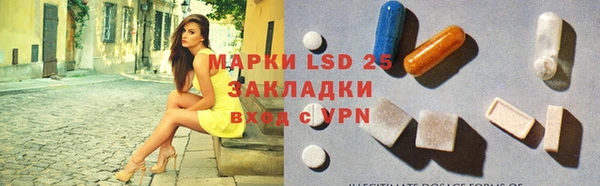 винт Лагань