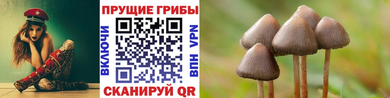 Псилоцибиновые грибы Psilocybine cubensis Юрьев-Польский